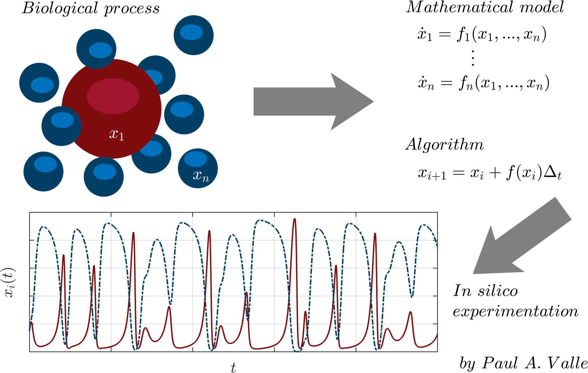 Biological Mathmatical Structures BioMath – When engineering meets biology